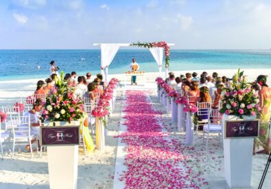 Storks Wedding Shot